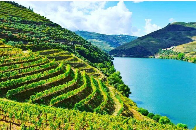 Private Douro Valley Food and Wine Tour From Porto - Why This Tour Works