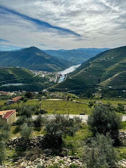 Private Douro Valley Full Day Tour - Private Douro Valley Full Day Tour: A Journey Through Portugal’s Wine Heartland