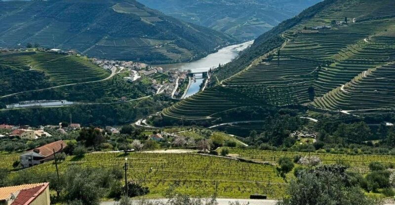 Private Douro Valley Full Day Tour - Evaluating the Value
