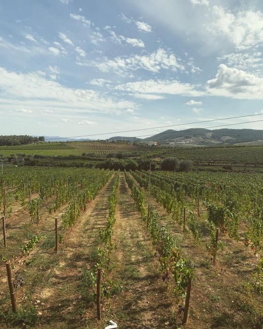 Private Douro Valley Full Day Tour - Who Should Consider This Tour?