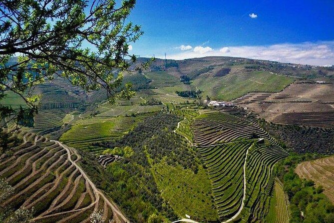 Private Douro Valley - Senses Experiences - Exploring the Douro Valley with a Personal Touch