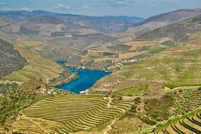 Private Douro Valley - Senses Experiences - Authenticity and Value