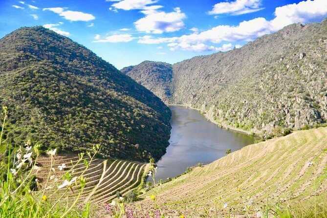 Private Douro Valley - Senses Experiences - Who Should Book This Tour?