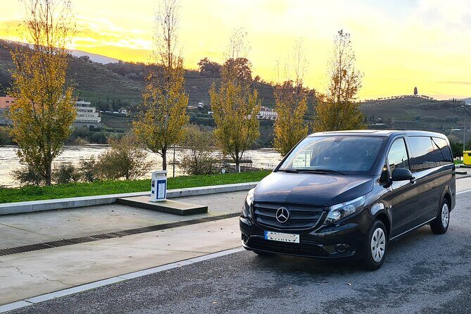 Private Douro Valley Tour (2 wineries + boat) - Why Travelers Love This Tour