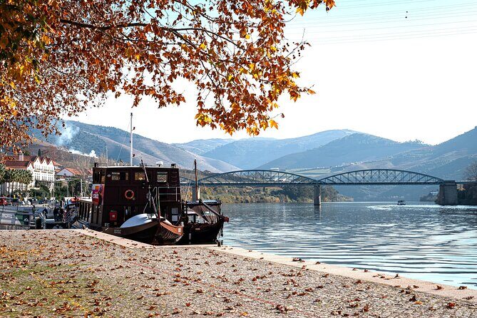 Private Douro Valley Tour: Boutique Winerie & River Cruise - The Experience in Detail
