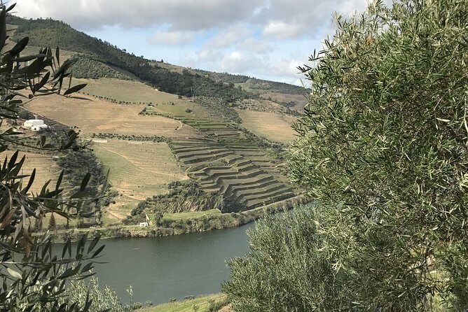 Private Douro Valley Tour Includes Wine Tasting and Boat Tour - Final Thoughts