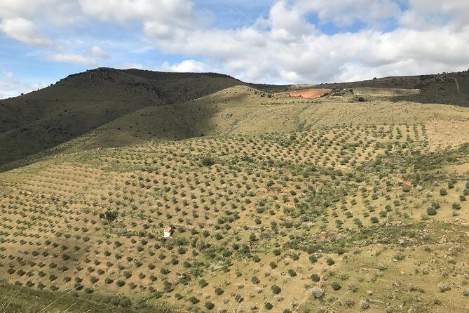 Private Douro Valley Tour Includes Wine Tasting and Boat Tour - FAQ