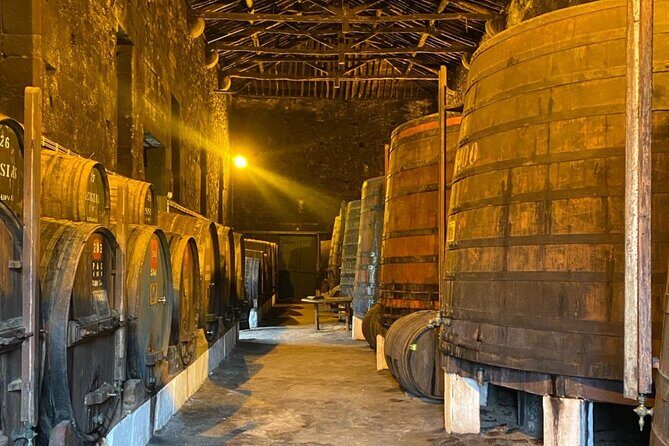 Private Douro Valley Tour with Yacht, Wine tasting and Lunch - A Deep Dive into the Experience