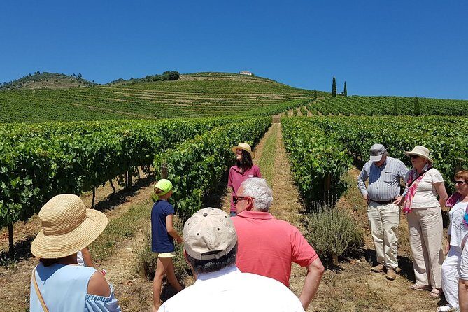 Private Douro Valley Wine Tour: 2 Wine Estates, Lunch and Cruise - Discover the Douro Valley on a Private Wine Tour