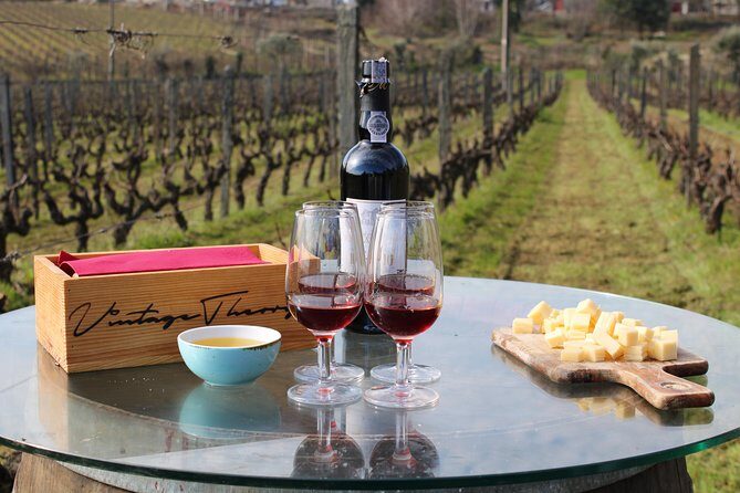 Private Douro Valley Wine Tour: 2 Wine Estates, Lunch and Cruise - Is This Tour Worth It?