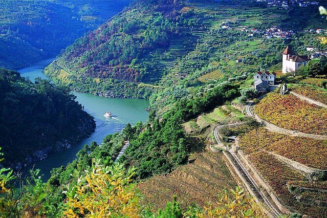 Private Douro Valley Wine Tour: 2 Wine Estates, Lunch and Cruise - Why You Should Consider This Tour