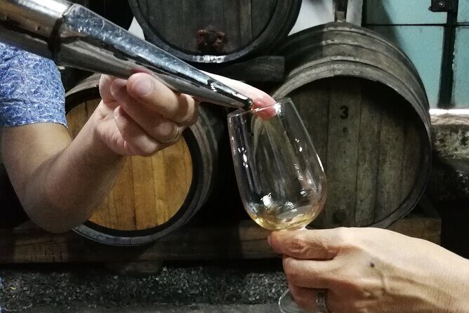 Private Douro Valley Wine Tour - Discovering the Douro Valley: A Scenic Journey from Porto
