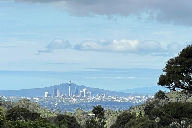Private Driver for a Day from Auckland - An In-Depth Look at the Private Driver Experience