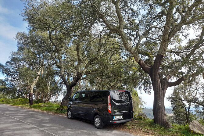 Private Driver From Lisbon to Algarve By 8 Seats Minibus - Key Points