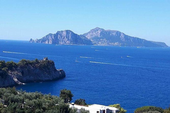 Private Driver VIP Tour of Sorrento & its food delicacies - Starting Point and Timing