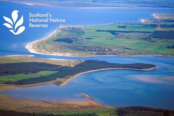Private Driving tour from Invergordon Port to Dunrobin Castle - A Private Drive Through the Heart of the Scottish Highlands