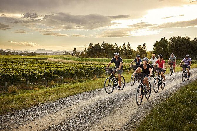 Private Driving Wine Tour (full day) in the Marlborough Region - The Sum Up