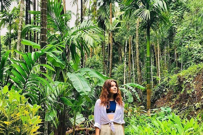 Private Dudhsagar waterfalls & Spice Plantation with Lunch from Mormugao Port - The Sum Up