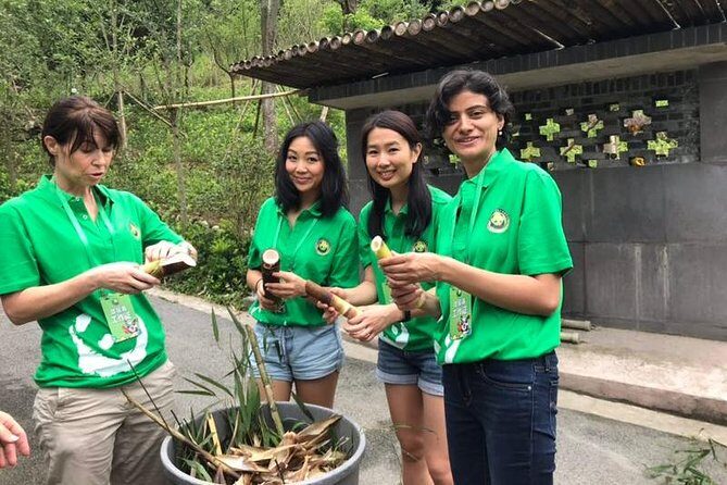 Private Dujiangyan Panda Base Panda Rescue Center Volunteer for a Day - What to Expect When You Book