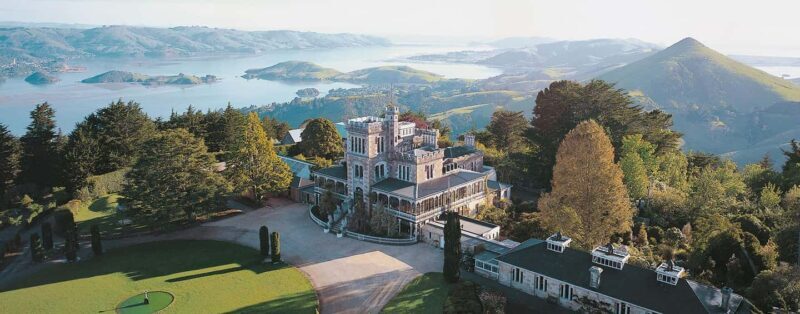 Private Dunedin City Highlights and Otago Peninsula Day Tour - How to Get the Most from Your Tour