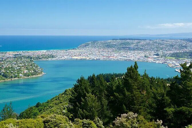 Private Dunedin & Otago Peninsula Day Tour Up to 4 - In-Depth Review of the Dunedin & Otago Peninsula Private Tour