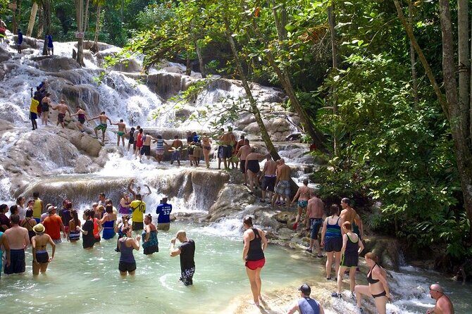 Private Dunn River Falls Tour From Negril - Exploring the Journey: What to Expect?