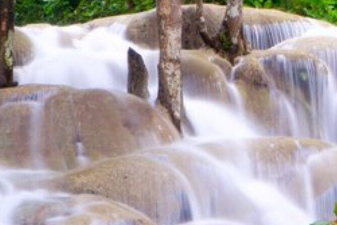 Private Dunn's River and Blue hole tour from Ocho Rios - Who This Tour Is Best For