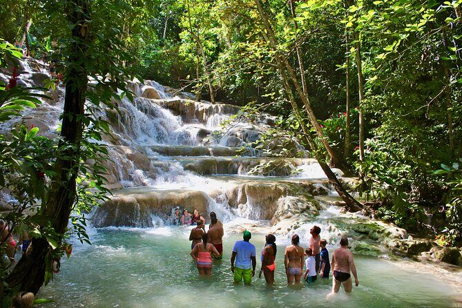 Private Dunn's River Falls Adventure from Montego Bay - Key Points