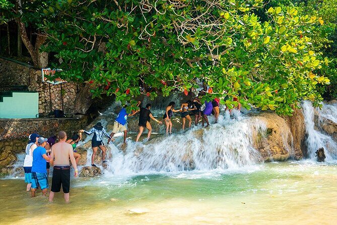 Private Dunn's River Falls Adventure from Montego Bay - The Sum Up