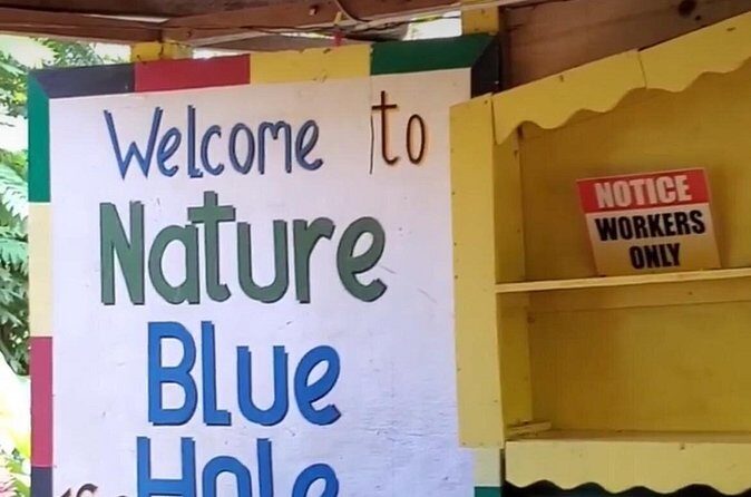Private Dunns River Falls and Blue Hole from Montego Bay Tour - The Sum Up