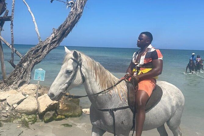 Private Dunns River Falls and Horse Back Riding - An Unforgettable Day with Private Dunns River Falls and Horseback Riding