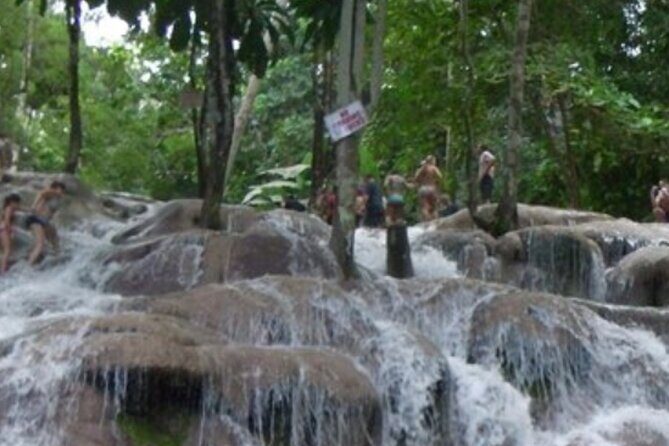 Private Dunn's River Falls and Tubing Tour From Ocho Rios - An In-Depth Look at the Tour Experience