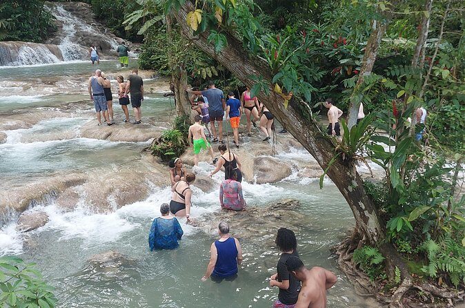 Private Dunn's River Falls Tour from Falmouth - Authentic Experiences and Practical Details