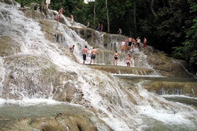 [PRIVATE] Dunn's River Falls with Entrance Fees - The Experience in Detail