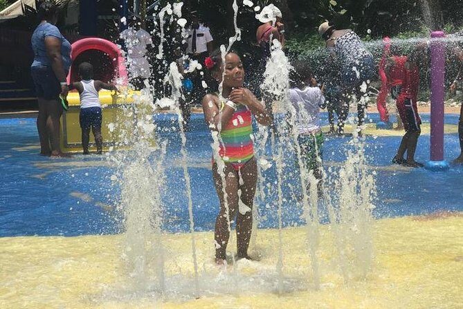 [PRIVATE] Dunn's River Falls with Entrance Fees - The Sum Up