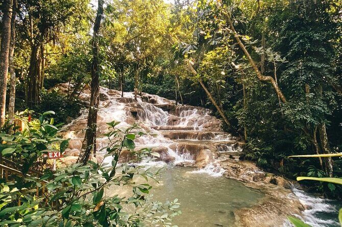 Private Dunns River Tour from Falmouth Cruise Ship Pier - In-Depth Review of the Private Dunns River Tour
