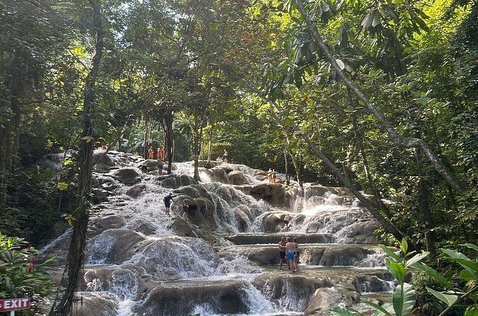 Private Dunns River Tour from Falmouth Cruise Ship Pier - Pricing and Value