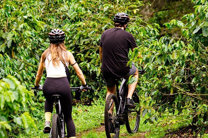 Private E-Bike Coffee Tour in Boquete - Why This Tour Stands Out