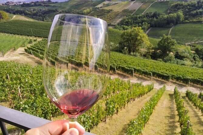 Private E-bike Tour " Langhe del Barbaresco " - Asphalt only - Final Thoughts
