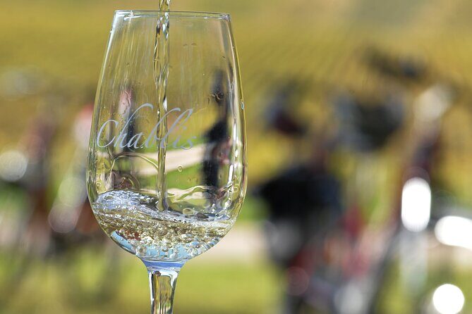 Private e-bike tour with a guide in the Vineyards of Chablis - A Guided E-Bike Tour Through Chablis Vineyards: Practical, Authentic, and Fun