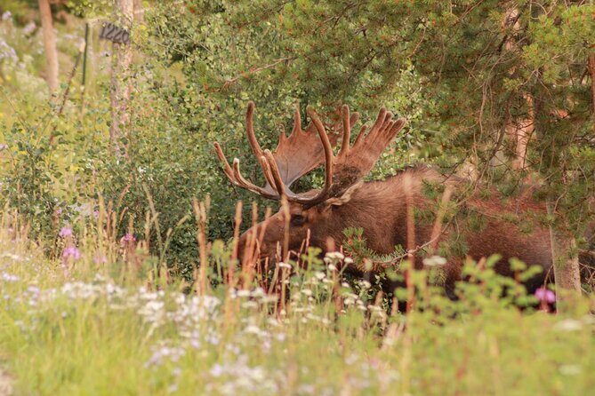 Private Eagle County / Vail Airport Transfer to Vail - The Sum Up: A Practical Start to Your Vail Adventure