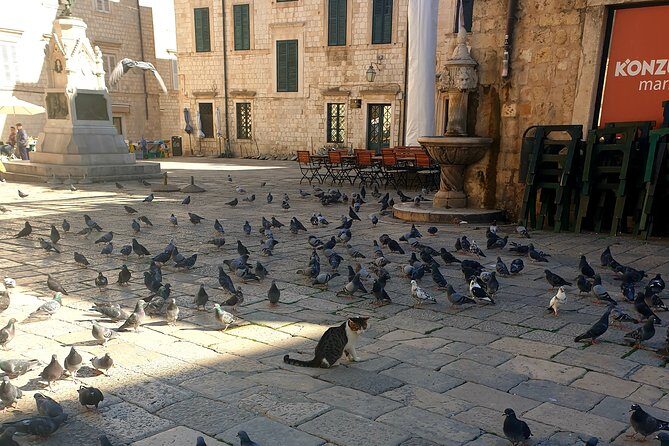 Private Early Morning Dubrovnik Tour - An In-Depth Look at the Dubrovnik Early Morning Tour