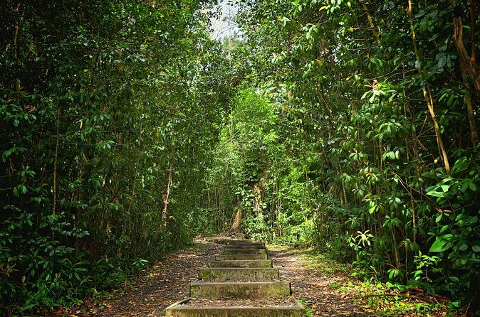 Private East Maui Hiking Experience - Who Should Consider This Tour?