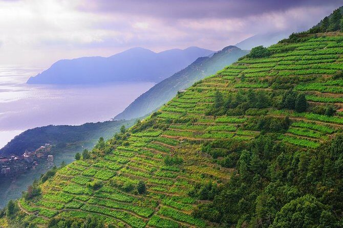 Private EASY Cinque Terre Accessible Tour from Livorno - Why This Tour Offers Good Value