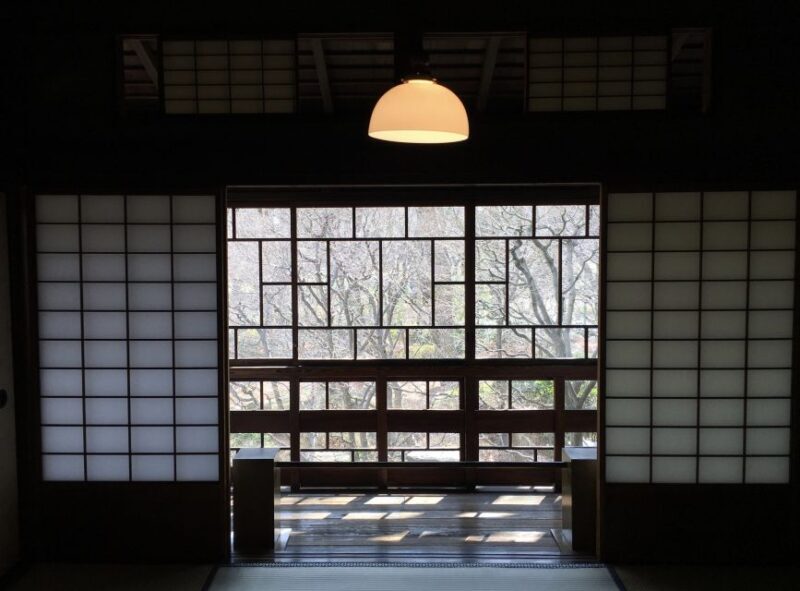 Private Edo-Tokyo Open Air Architectural Museum Tour - Who Should Consider This Tour?