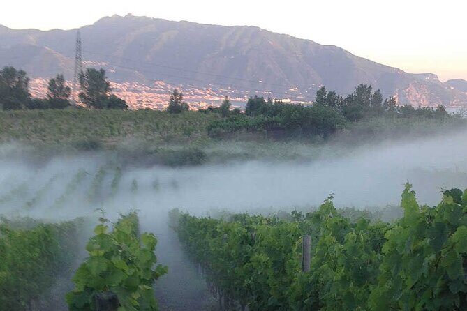 Private Educational Wine Tour, dedicated sommelier and trasport - Key Points
