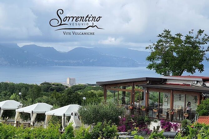 Private Educational Wine Tour, dedicated sommelier and trasport - Who Should Consider This Tour?