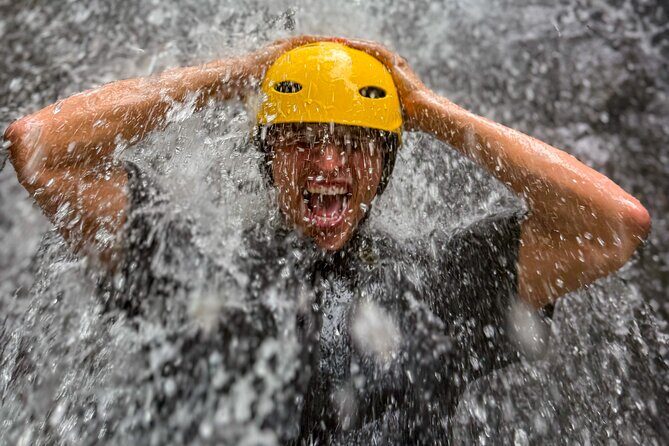 Private El Yunque Half-Day Tour with Transport - Exploring the Authentic El Yunque: A Private Half-Day Adventure