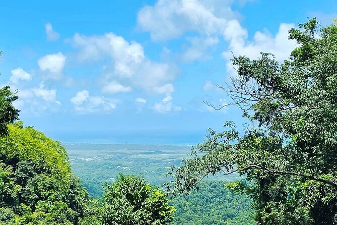 Private El Yunque Tour To Hidden Waterfall Remote Area - Final Thoughts