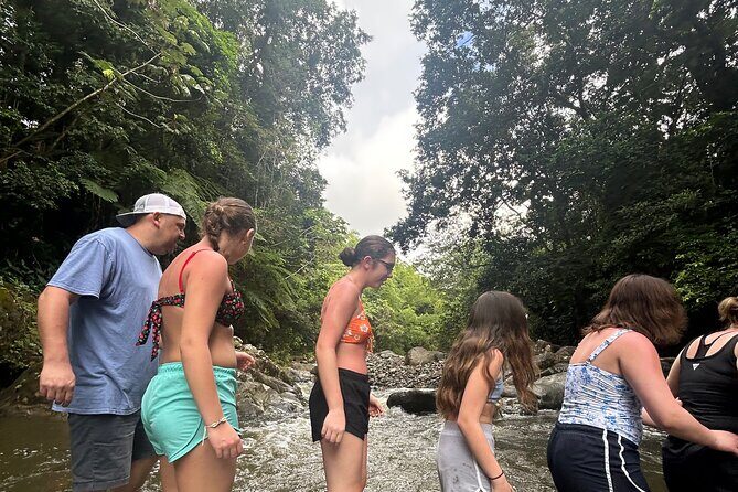 Private El Yunque Tour to Waterslide and Waterfalls - Key Points